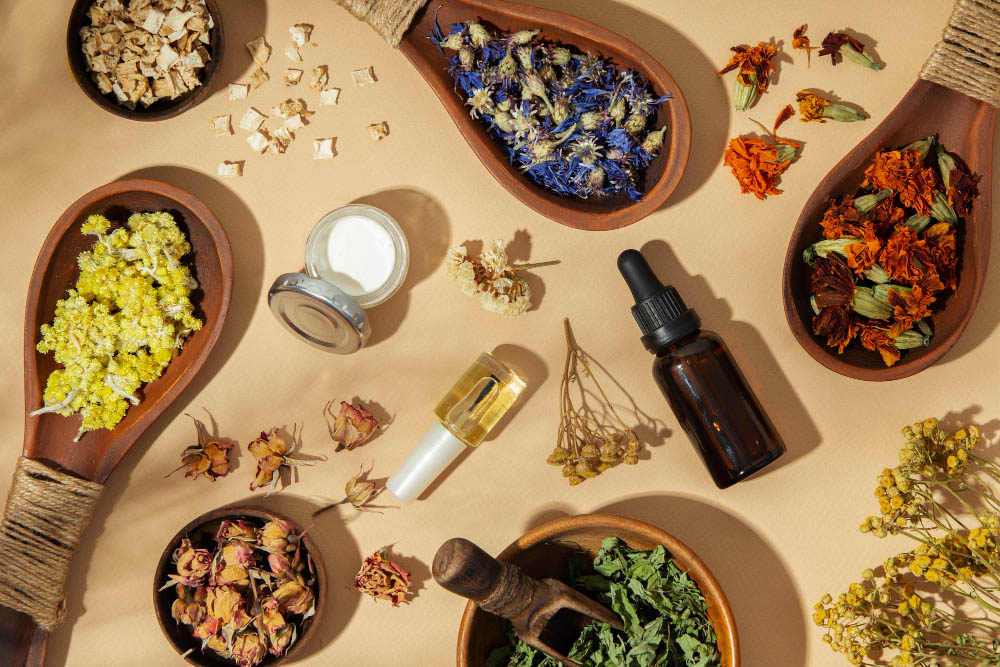 phytotherapie-pharmacie-de-paris-la-baule phytotherapie-pharmacie-de-paris-la-baule